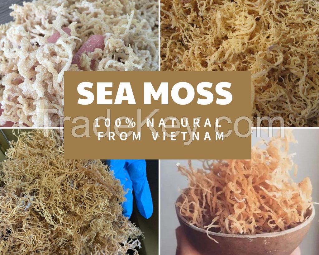 Sea moss