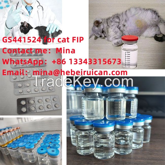 gs 441524 injection gs441524 gs-441524 for cat FIP