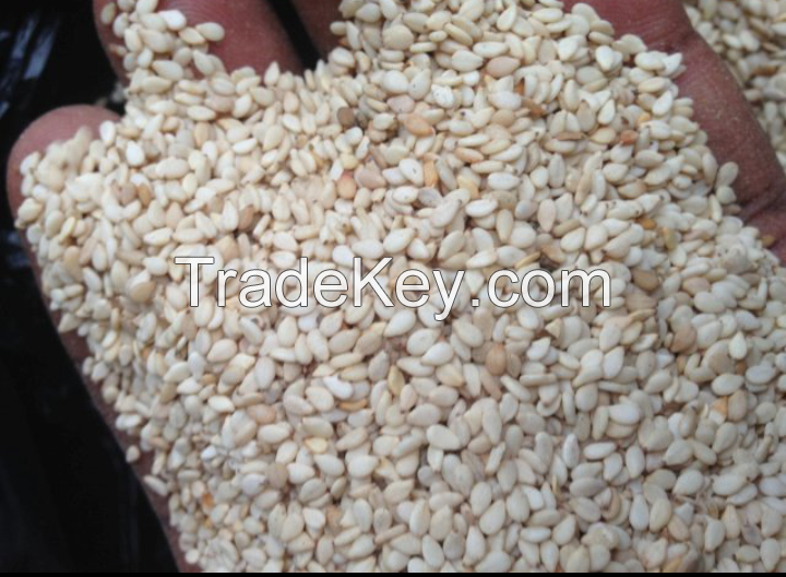 Quality Sesame seeds