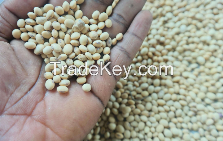 Quality Soybeans