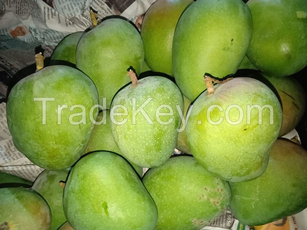 Mangoes, promogranete