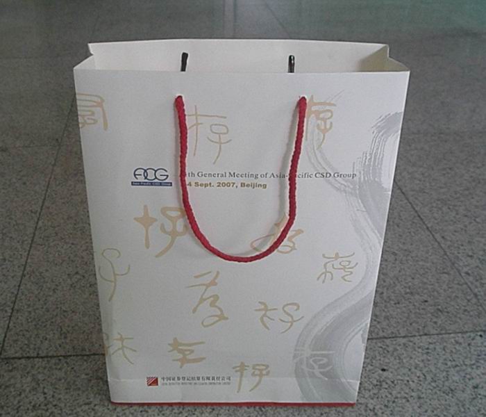 Paper Shopping Bag