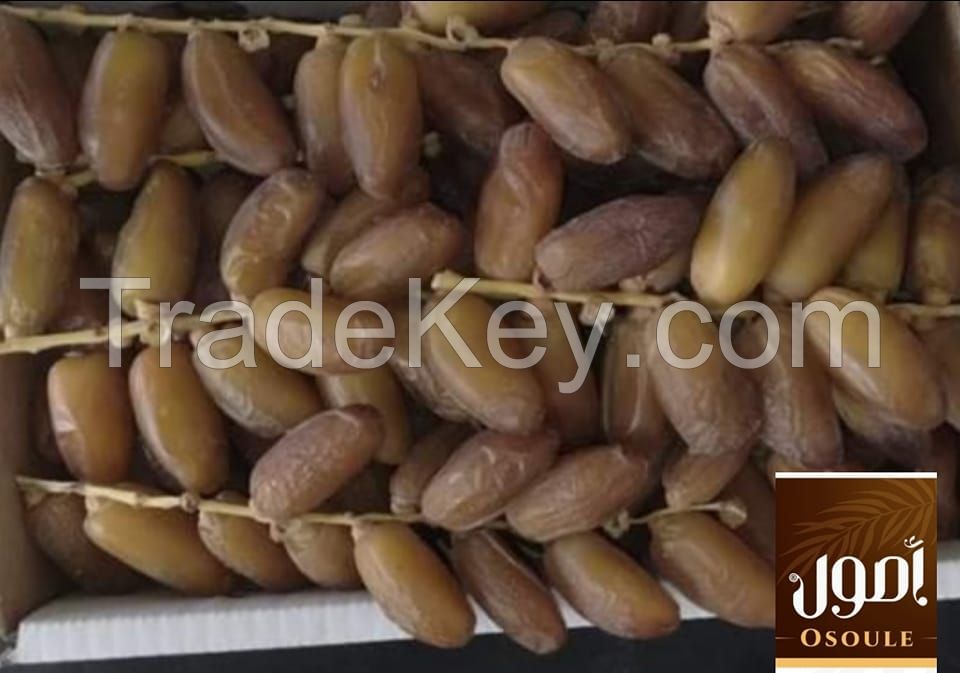 Dates deglet Nour From Tunisia