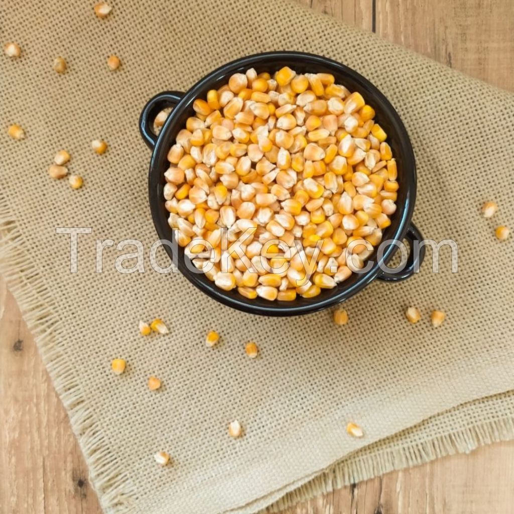 Dry Corn