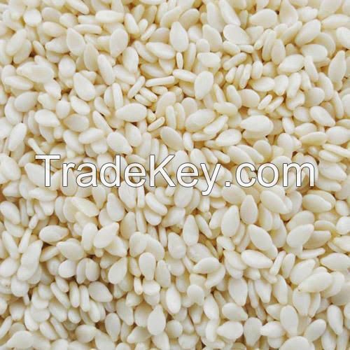 High Quality Sesame Seed Available for Sale