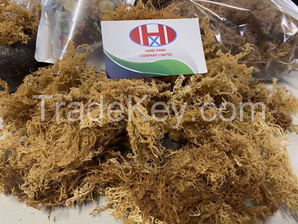 Dried Sea Moss with high quality and a reasonable price, dired sea food