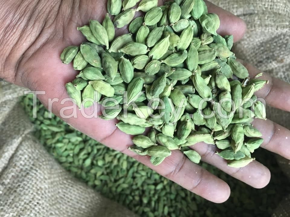 GREEN CARDAMOM