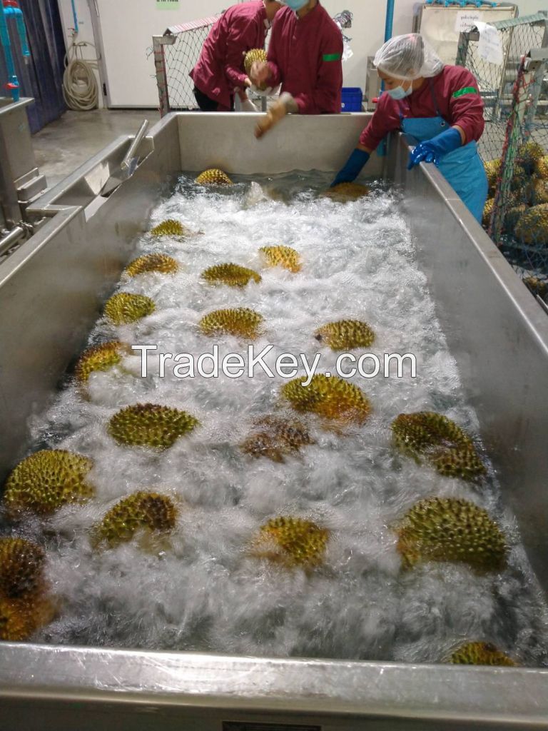 Frozen Durian