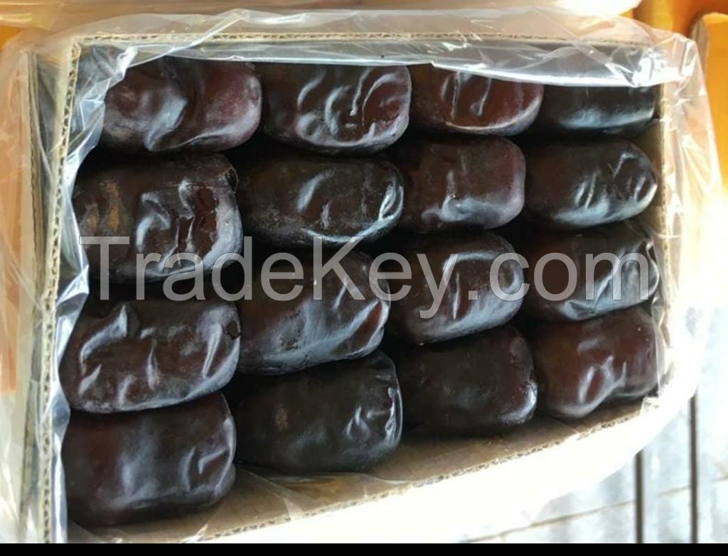 Mazafati dates with best quality and grade