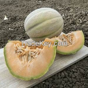 Melon Seed