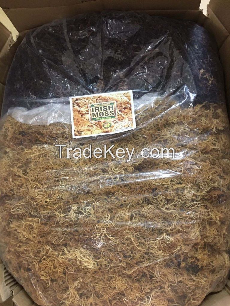 Dried Sea Moss/ Irish Moss/ Eucheuma Cottonii for Export