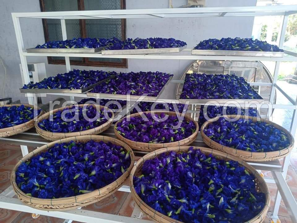 Dried Blue Butterfly Pea Powder Ms.Lucy +84 929 397 651
