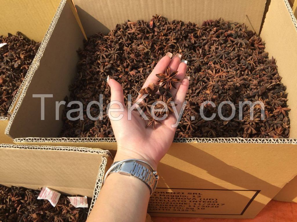 The Best Supplier Star Anise Staranise Aniseed from Vietnam Ms.Lucy +84 929 397 651