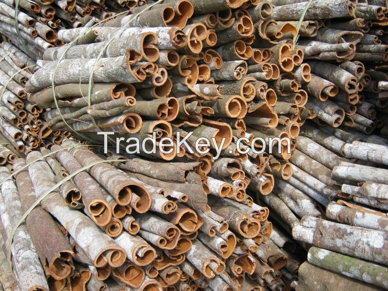 Wholesale Cinnamon Cinnamomum Broken Split Cigarette Cassia Verra Stick Ms.Lucy +84 929 397 651