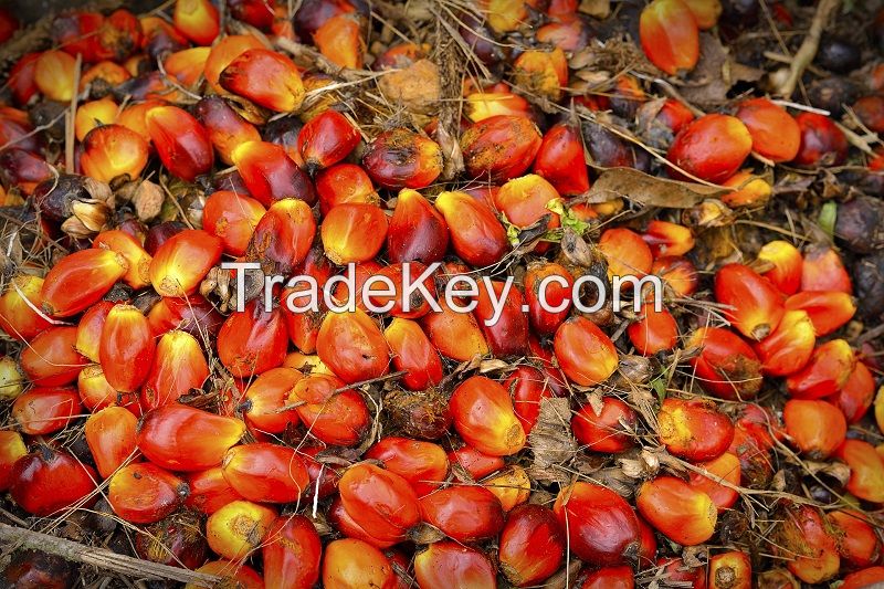 Crude and Refined Palm Oil