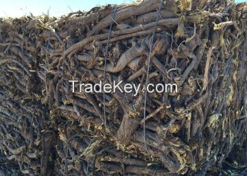 Licorice root extracts