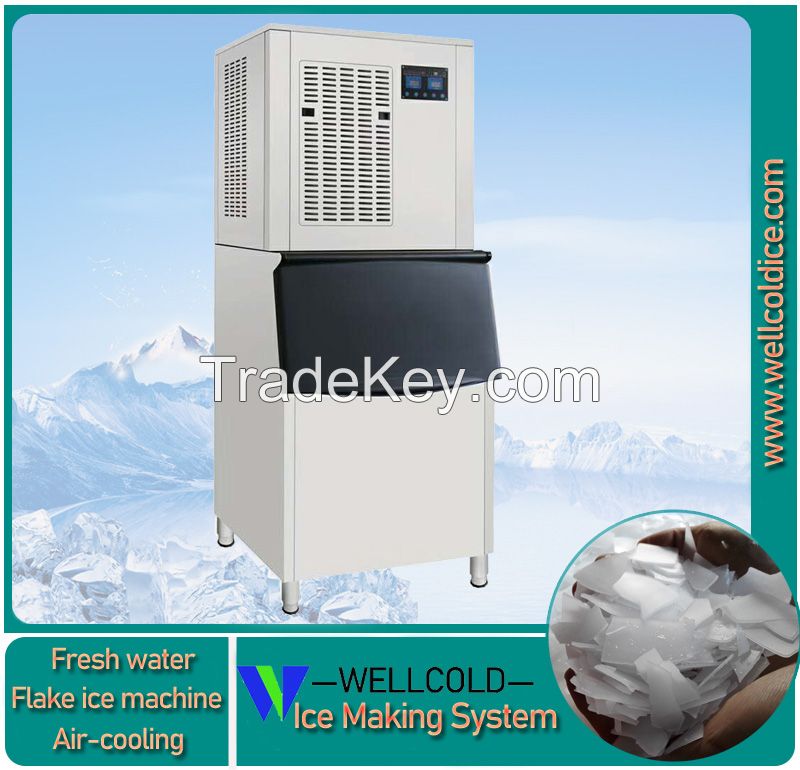 200kg 300kg small flake ice machine used in kitchen