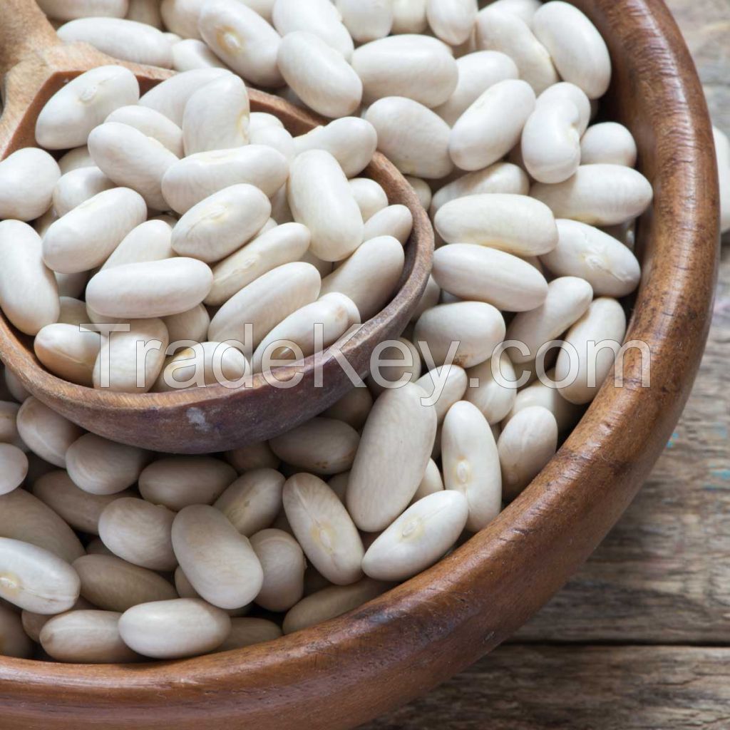 White Kidney Beans