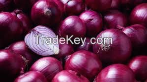 FRESH RED AND YELLOW ONION