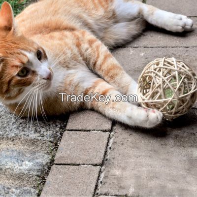 Rattan Ball Toy For Cat