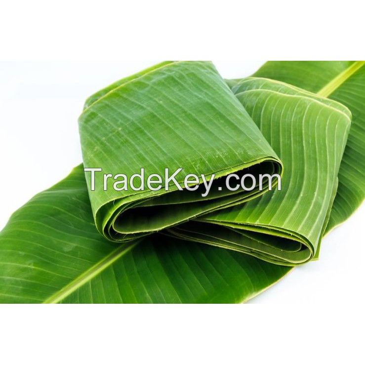 Indonesian Banan Leaf