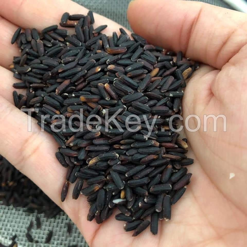 Black rice