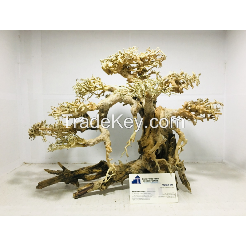Hot items aquarium bonsai driftwood for wholesale at a low cost 