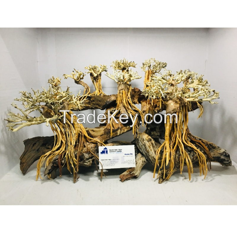 Large aquarium bonsai driftwood for Wholesale