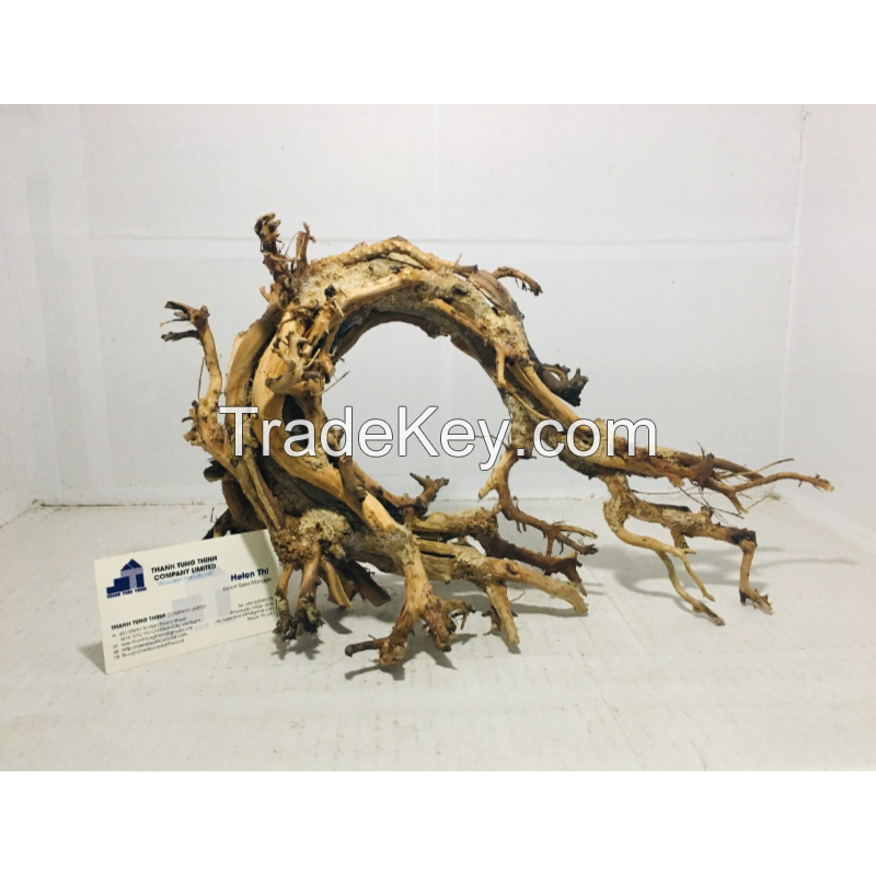Special shape bonsai driftwood for vivarium decoration 