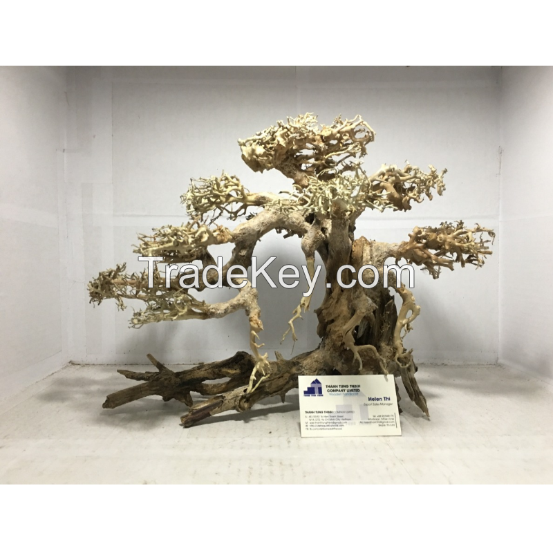 Hot items aquarium bonsai driftwood for wholesale at a low cost 