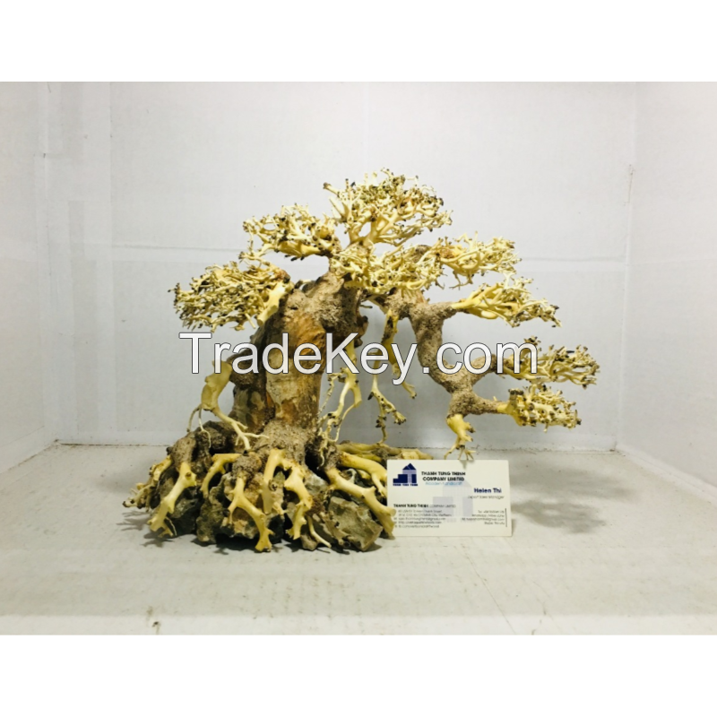 Exporting aquarium bonsai driftwood in bulk at a low cost 