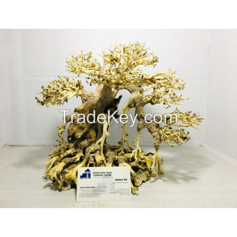 Exporting aquarium bonsai driftwood in bulk at a low cost 
