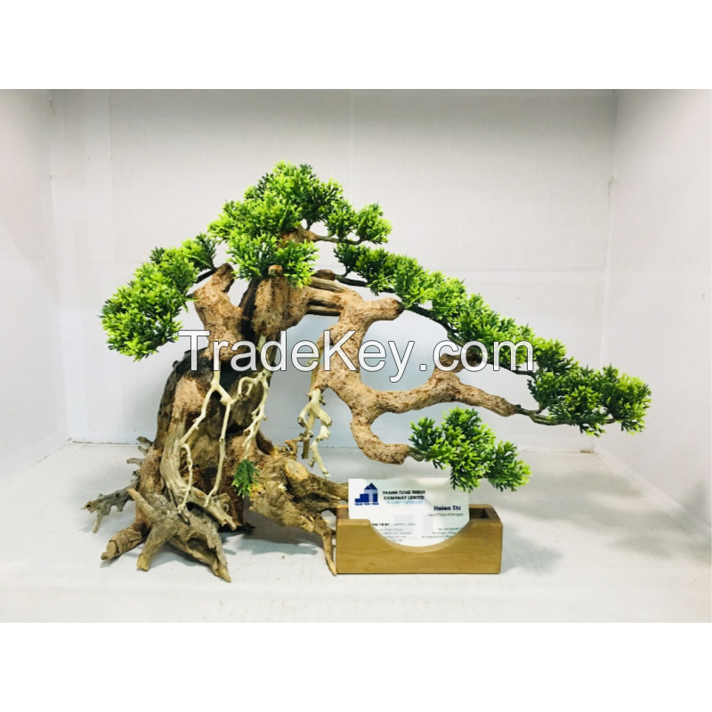 Green bonsai driftwood for aquarium 