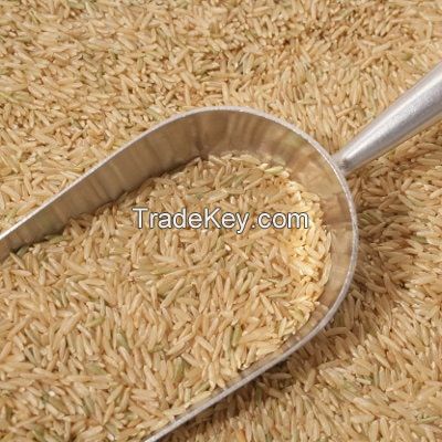 Long-grain brown Rice