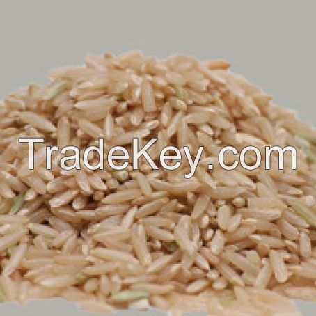 Long-grain brown Rice