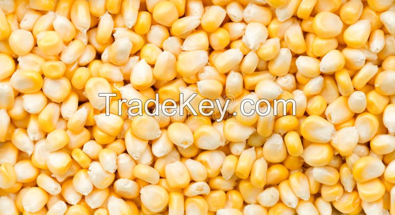 Corn, wheat, barley, peas