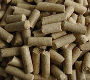 Pellet Plant