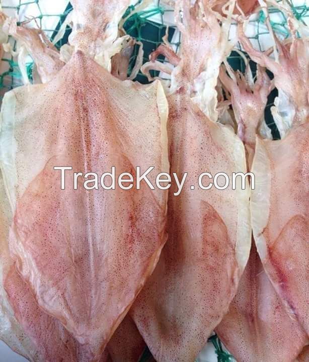 Sundried squid with high quality