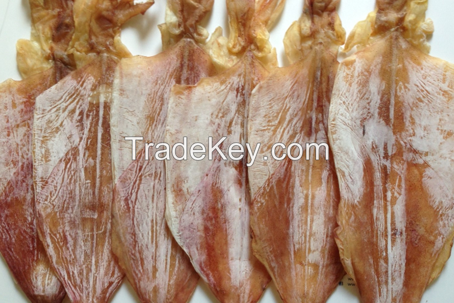 Sundried squid with high quality