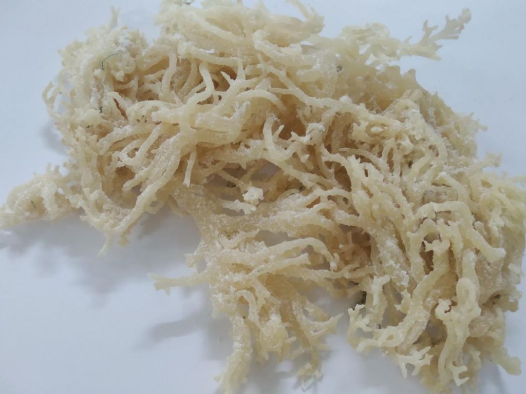 SUNDIRED AND WILD-CRAFTED DRIED SEA MOSS FROM VIET NAM