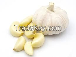 Garlic Clove