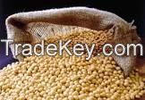 Soybeans