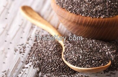 Hot selling humera wollega natural ethiopian white sesame seed