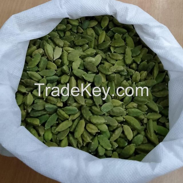 Green Cardamom Premium Whole Large Green Cardamom Fresh Quality