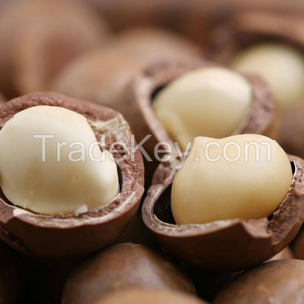 Macadamia nuts, roasted macadamia