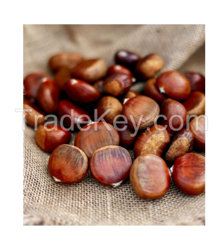 Wholesale fresh Chestnut Raw easy peel sweet roasted chestnuts organic snack food