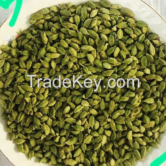 Green Cardamom Premium Whole Large Green Cardamom Fresh Quality