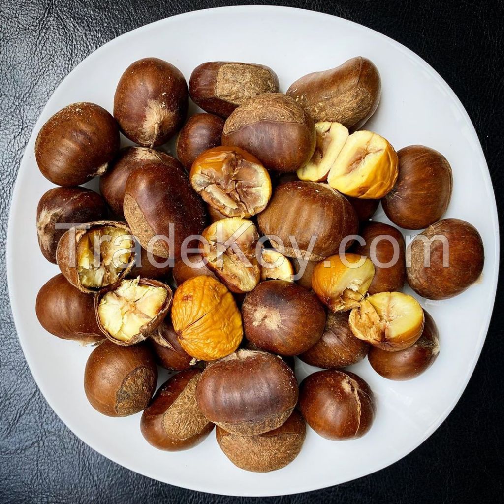 Wholesale fresh Chestnut Raw easy peel sweet roasted chestnuts organic snack food