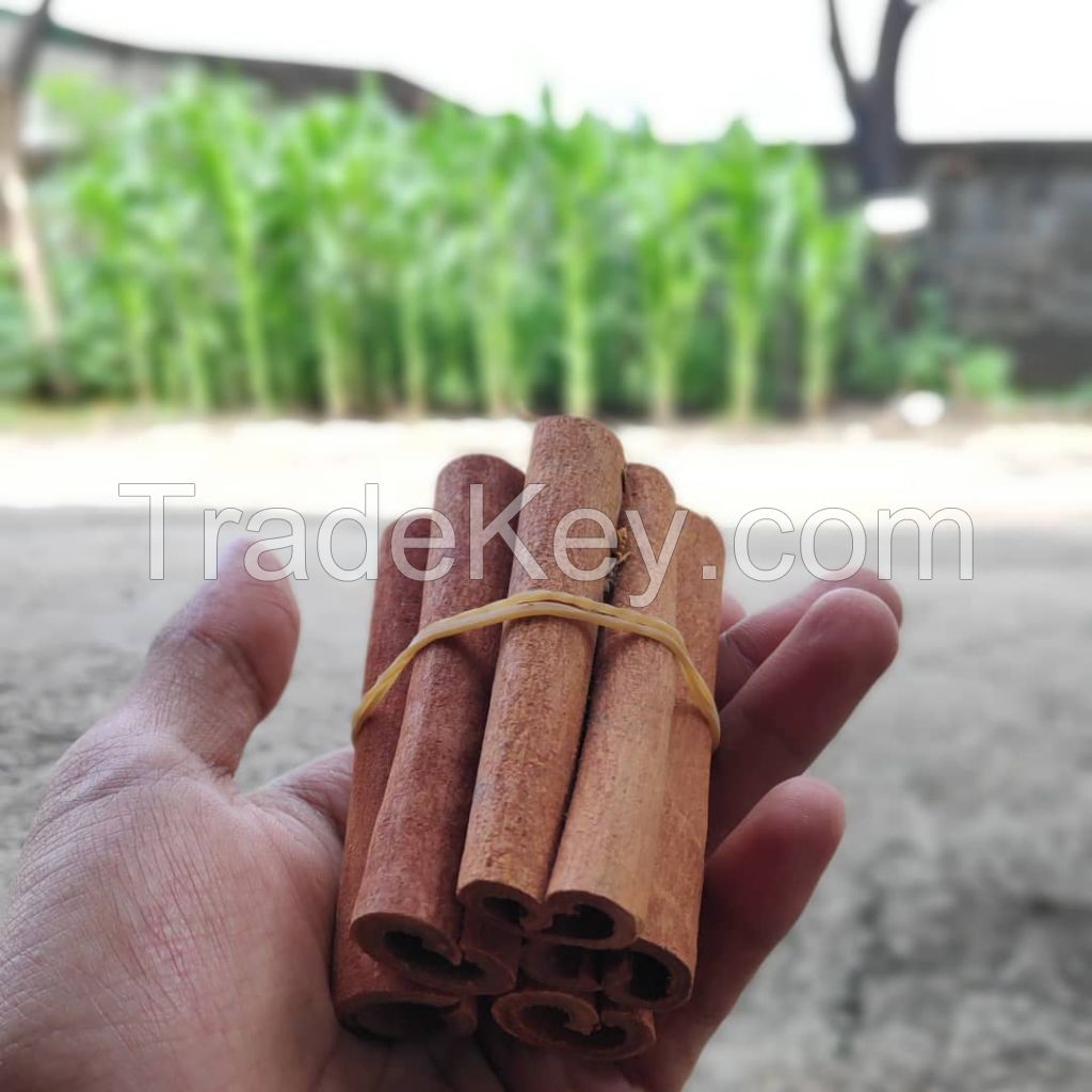 VAA Export Quality Cinnamon / Cassia VAA