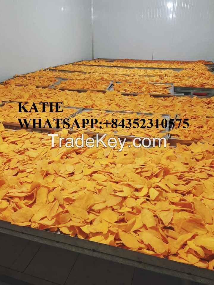 DRIED MANGO WITH HIGH QUALITY AND COMPETITIVE PRICE